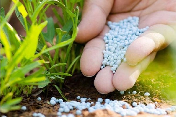 فروش کود کشاورزی در مازندران