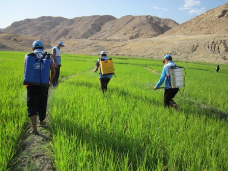 قیمت سموم کشاورزی ارگانیک