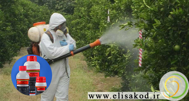 خرید سم ایمیداکلوپراید در بازار شمال