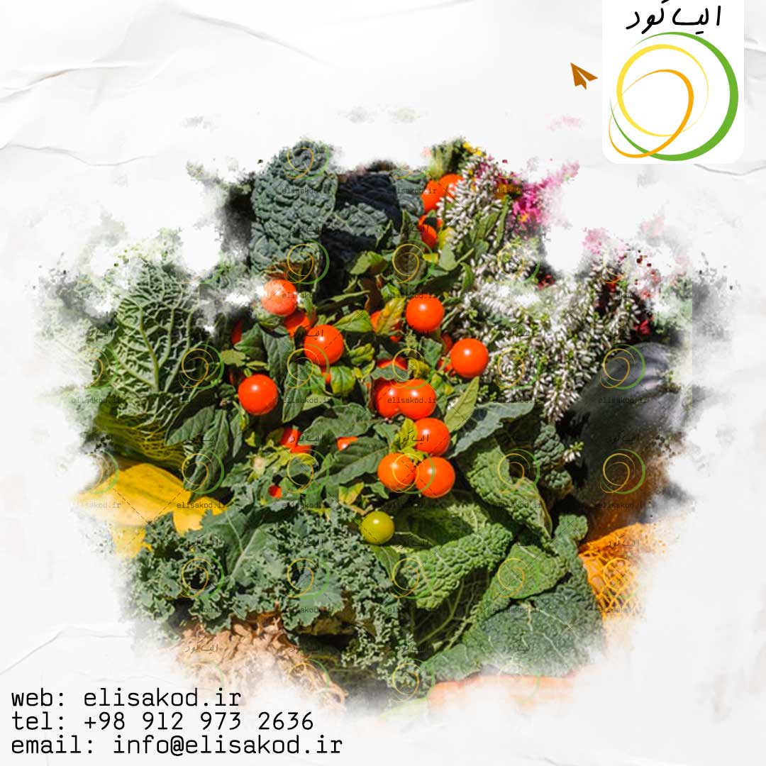 اثرات سولفات آمونیوم ایرانی