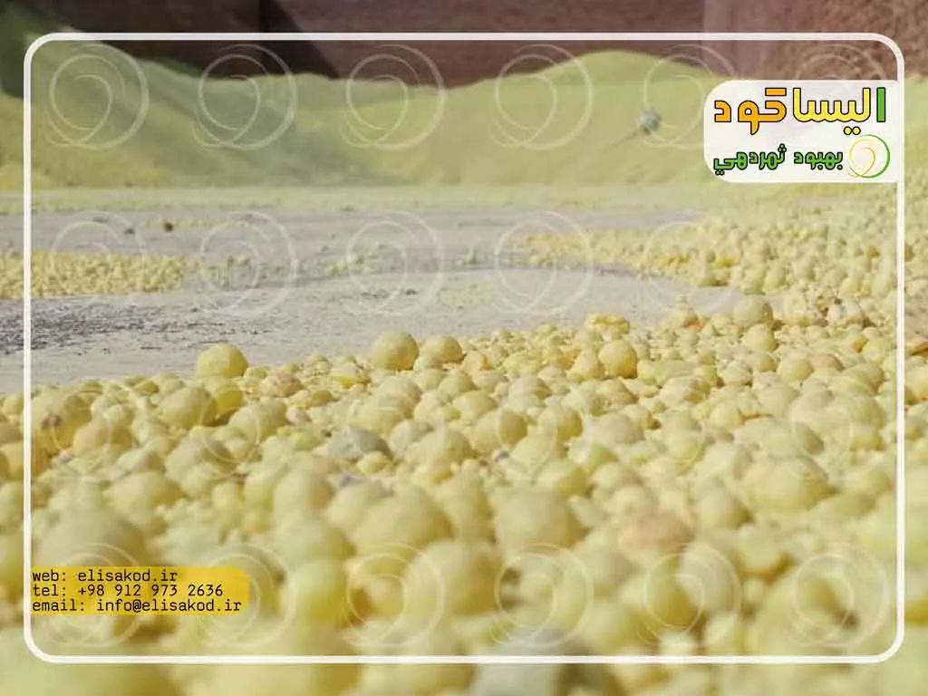 گوگرد گرانول آذرشهر