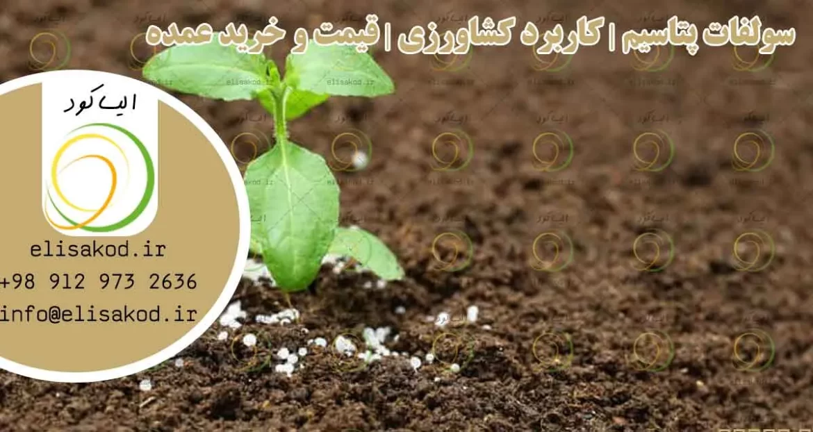 سولفات پتاسیم | کاربرد کشاورزی | قیمت خرید عمده