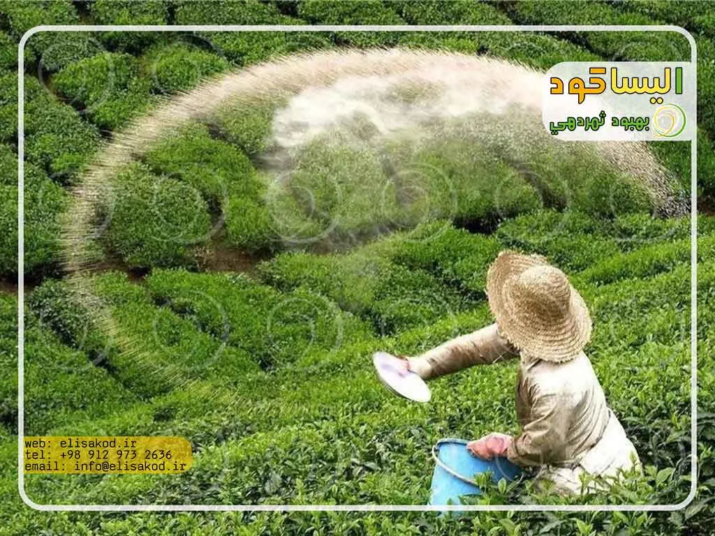 سولفات آمونیوم برای سبزیجات