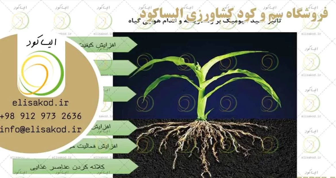 کود هیومیک اسید | مزایا و کاربرد در کشاورزی